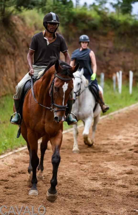 Cavalo Guesthouse & Equestrian Estate Drummond Ngoại thất bức ảnh