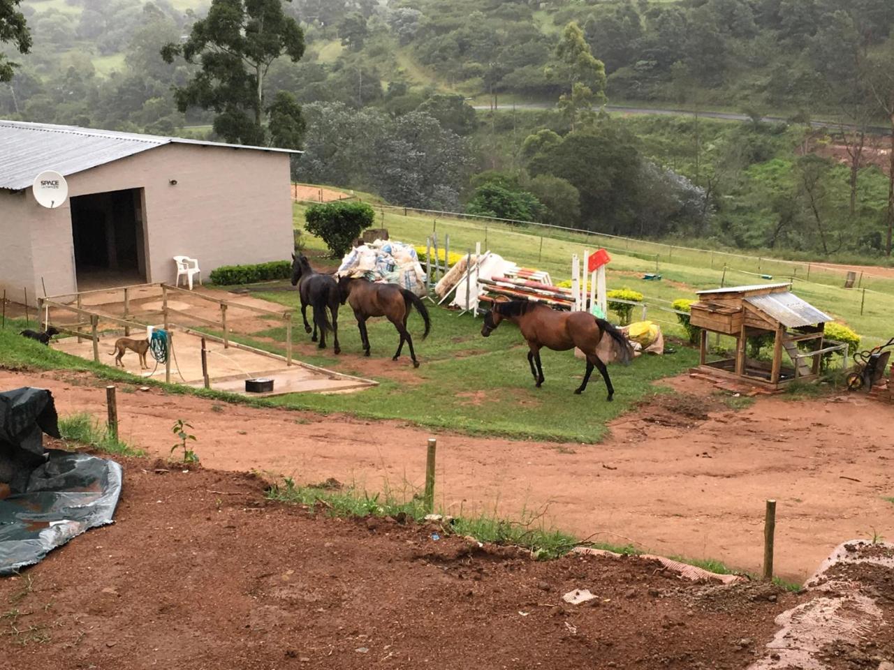 Cavalo Guesthouse & Equestrian Estate Drummond Ngoại thất bức ảnh