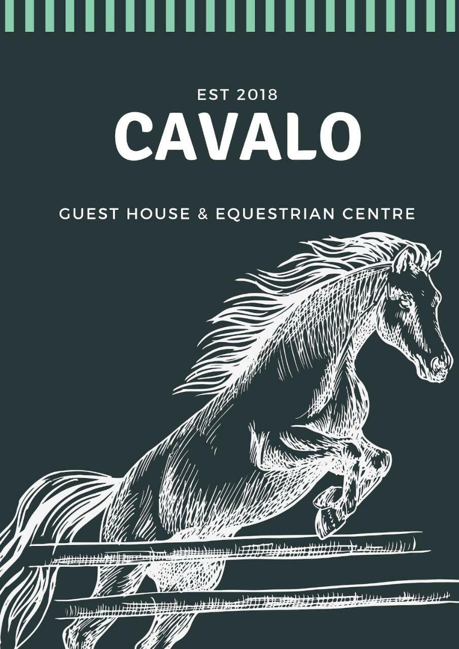 Cavalo Guesthouse & Equestrian Estate Drummond Ngoại thất bức ảnh