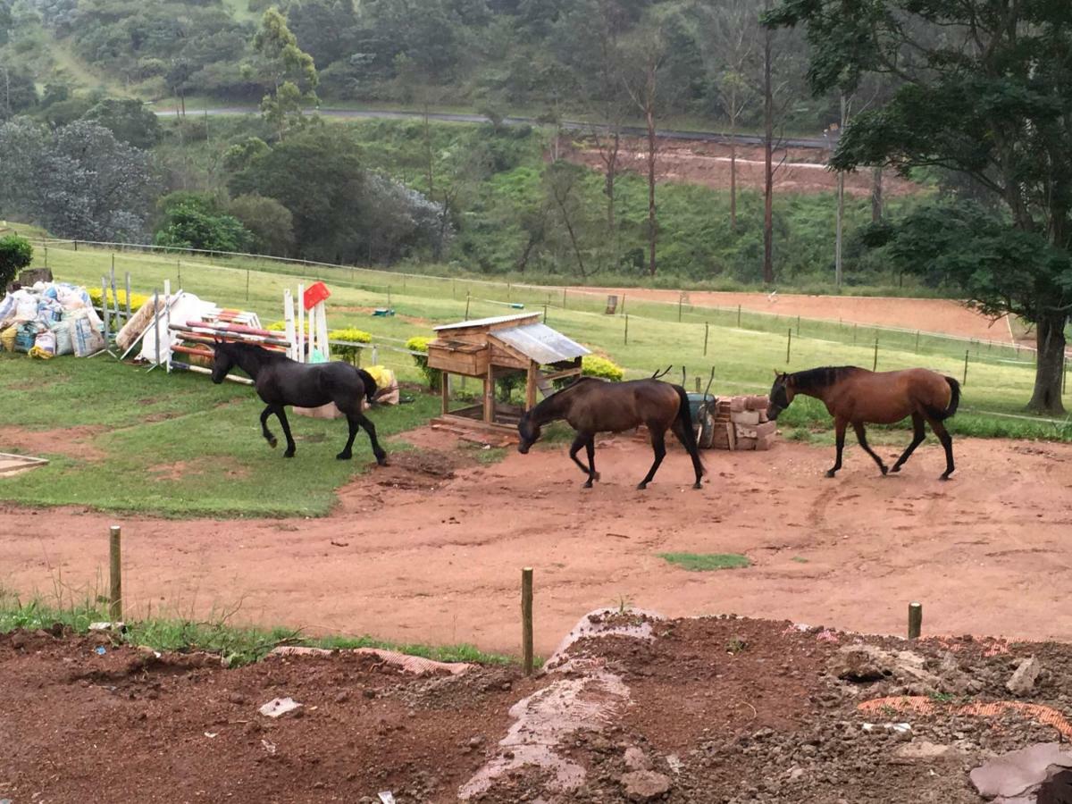 Cavalo Guesthouse & Equestrian Estate Drummond Ngoại thất bức ảnh
